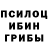 Псилоцибиновые грибы прущие грибы wolfactivist24