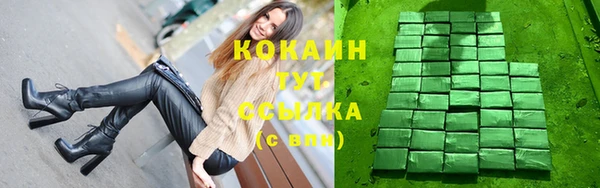 гашик Козельск