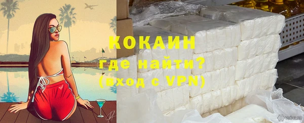 гашик Козельск