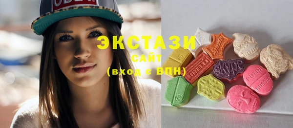 гашик Козельск