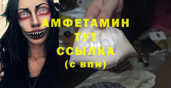 гашик Козельск