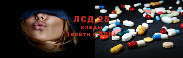 гашик Козельск