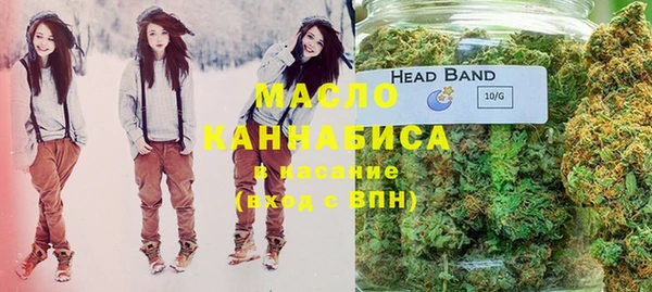 гашик Козельск