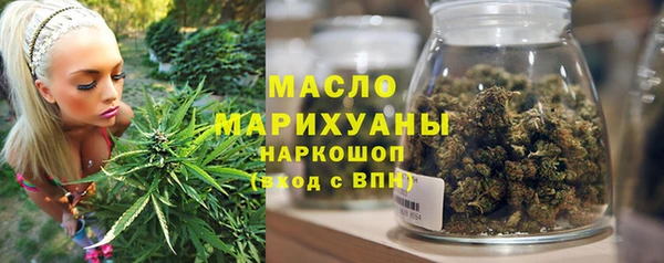 гашик Козельск