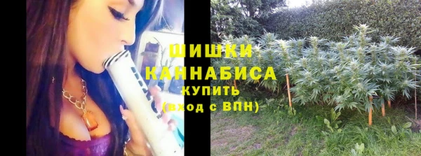 mix Кодинск