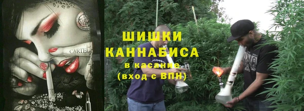 гашик Козельск