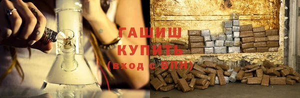 гашик Козельск