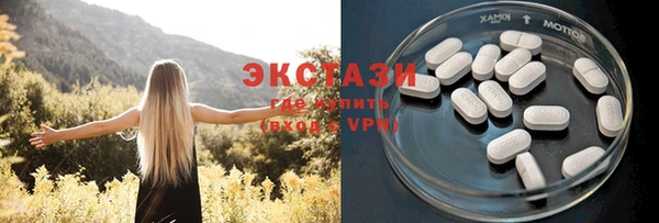 гашик Козельск