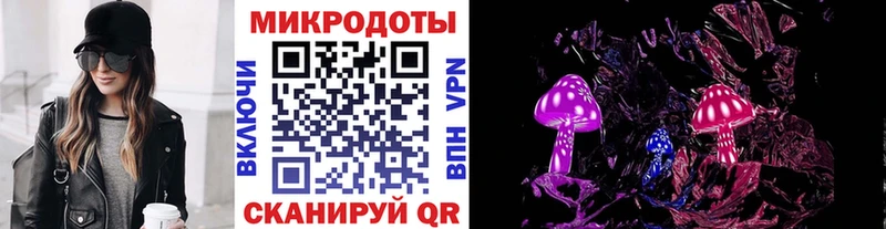 Псилоцибиновые грибы Psilocybe Саянск