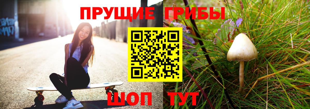 Галлюциногенные грибы GOLDEN TEACHER Саянск