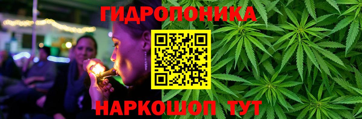 Шишки марихуана OG Kush Саянск